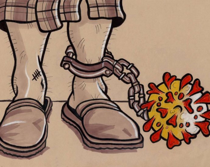 Illustrations & More